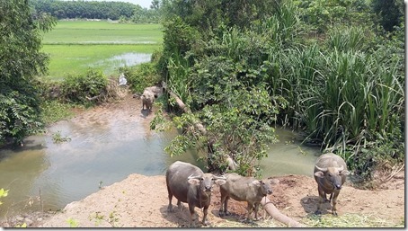 0c50aff6-d353-49ab-acff-56b202828cd4