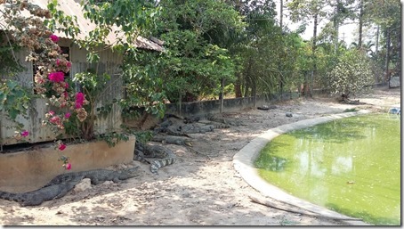 466d6618-c51d-41d9-8514-00875ec179a0