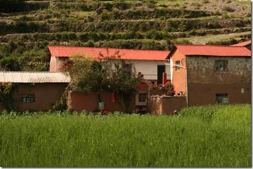 titicaca 323