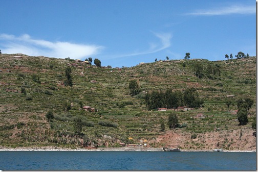 titicaca 411