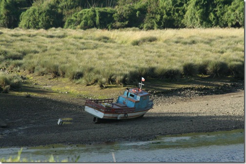 Chiloe 069