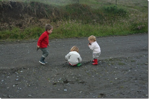 Chiloe 090