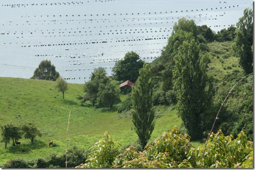 Chiloe 096