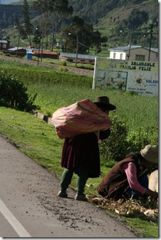 routeCusco 081