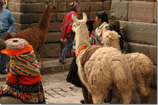 routeCusco 255