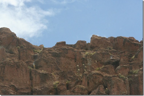 Uyuni 134