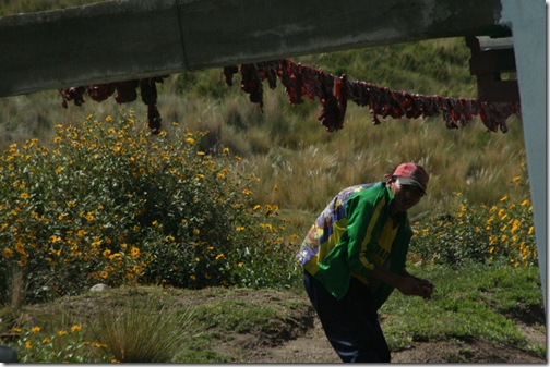 Uyuni 426