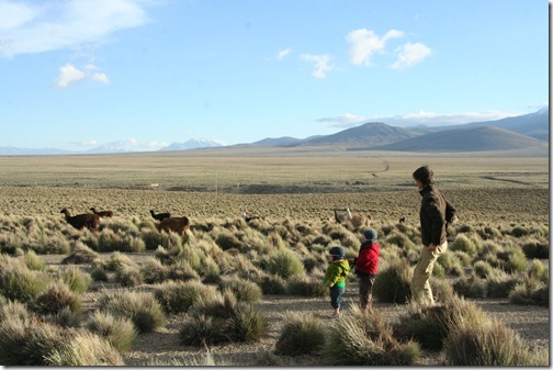 Uyuni 525