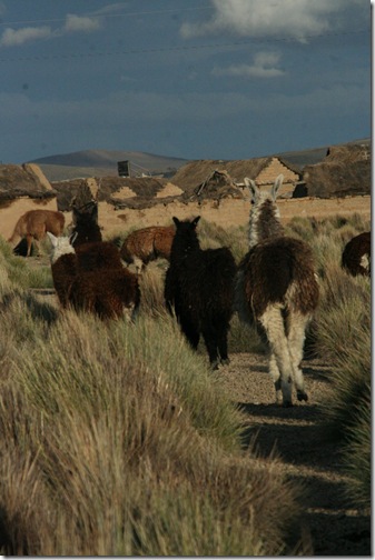 Uyuni 547