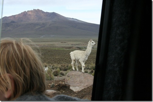 Uyuni 582