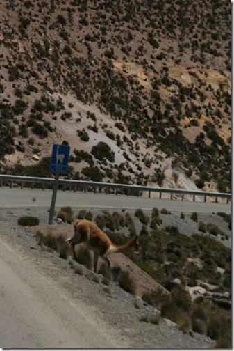 Uyuni 619