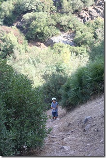 gorgesBenslimane 091
