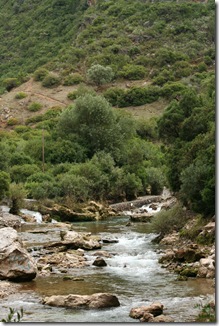 chefchaouen 243