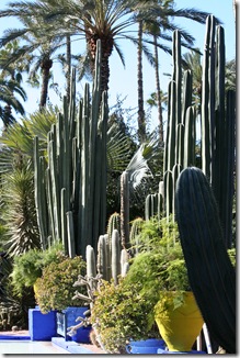 marrakech 214